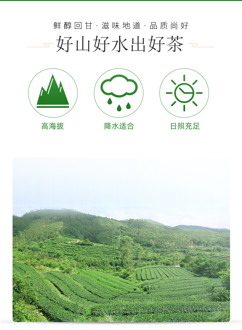 紅烏龍罐裝詳情頁_002.jpg
