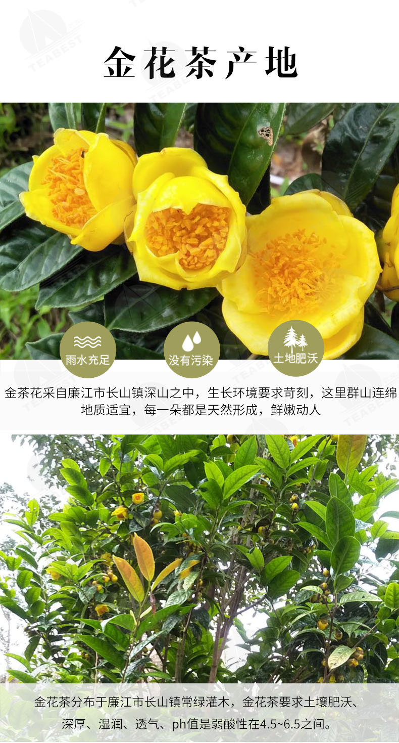 金花茶豪華禮盒詳情頁(yè)_05.jpg