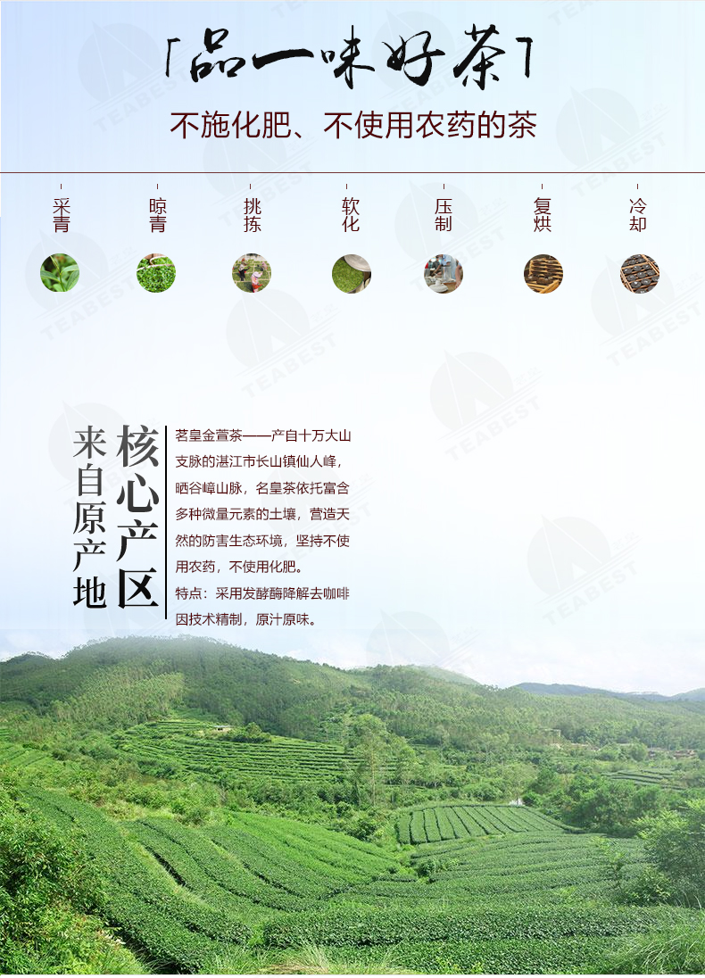 金萱茶罐裝詳情頁1_05.jpg