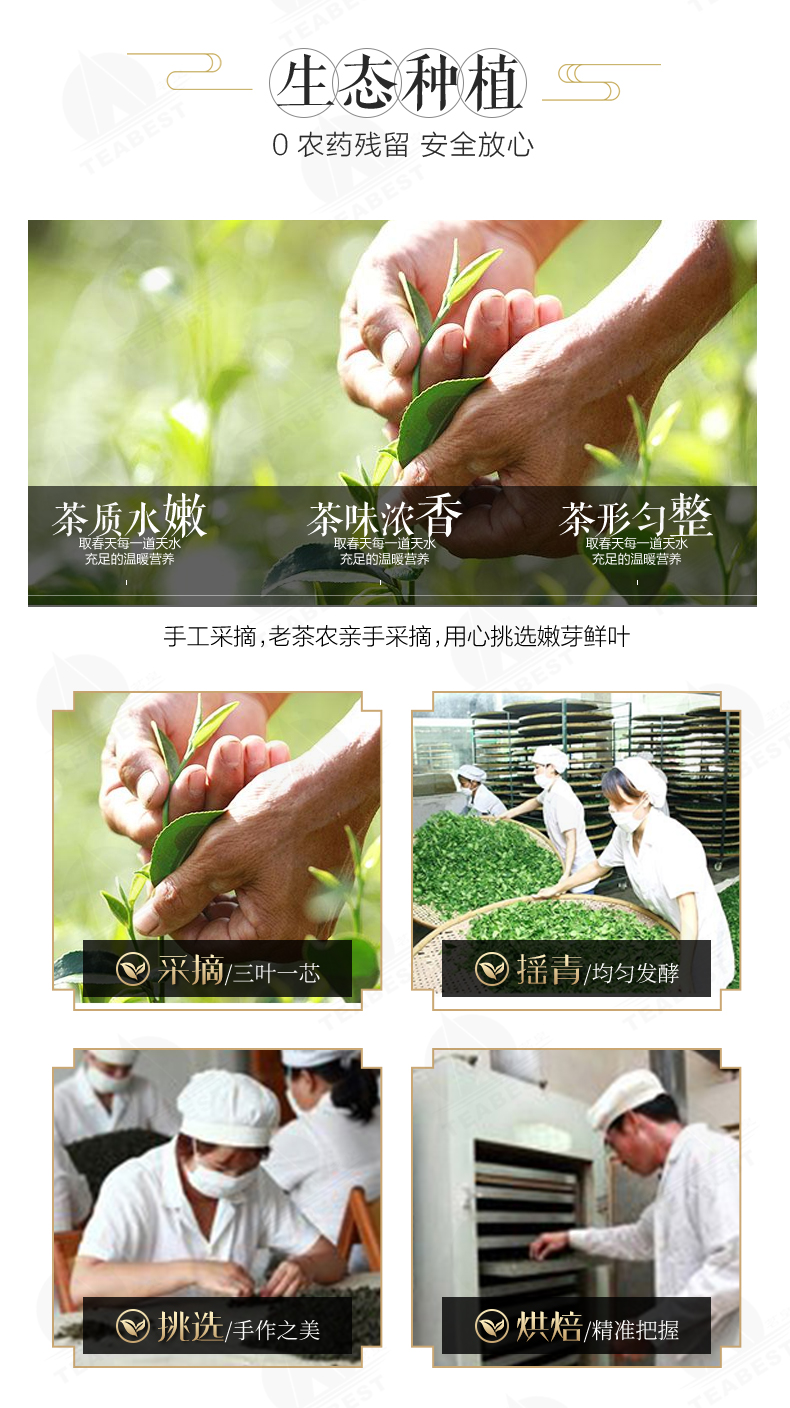 金萱茶罐裝詳情頁1_10.jpg