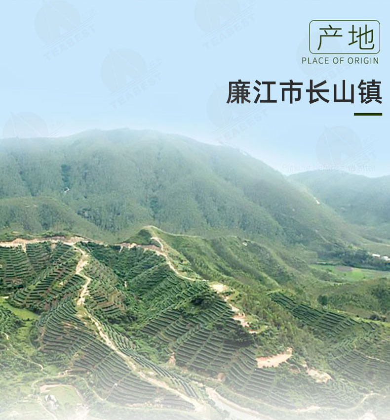 茗皇紅烏龍禮盒裝詳情頁_05.jpg