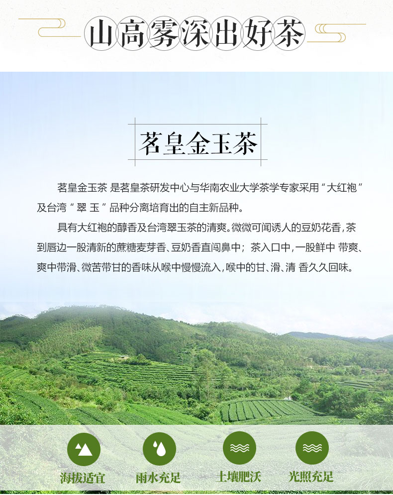 茗皇金玉茶詳情頁_04.jpg