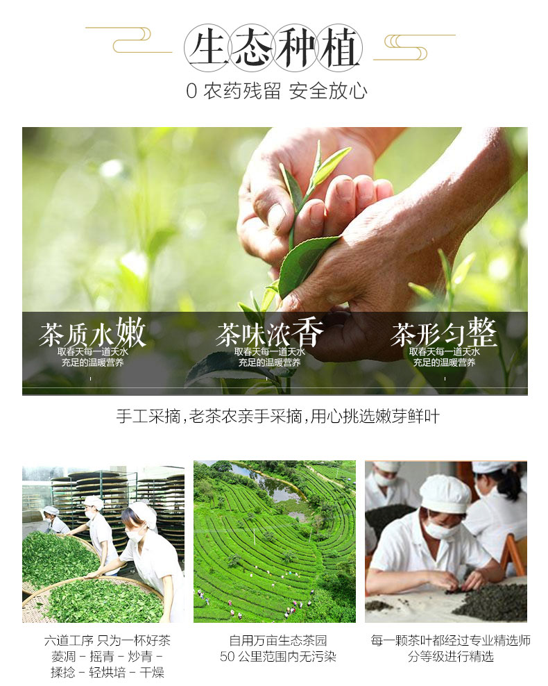 茗皇金玉茶詳情頁_05.jpg