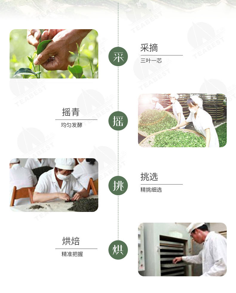 金萱紅罐裝詳情頁(yè)1_05.jpg