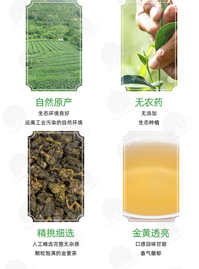 金萱茶豪華禮盒裝詳情頁3.jpg