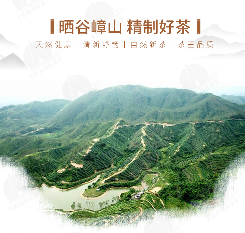 金萱茶豪華禮盒裝詳情頁2.jpg