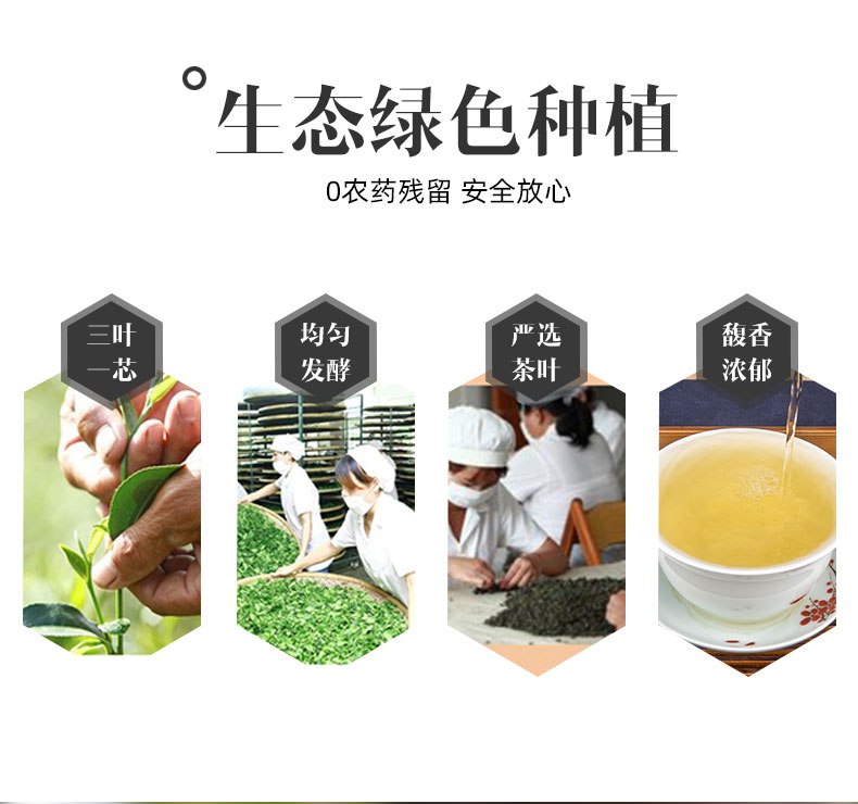 綠色寶藍(lán)色綠茶禮盒詳情_02.jpg